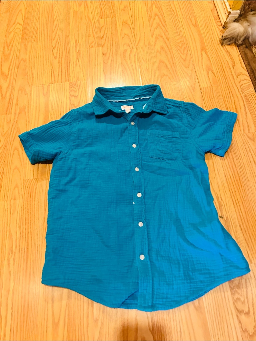 Cat and Jack Boys Short-Sleeve Button-Up Shirt in Teal Sz 10/12